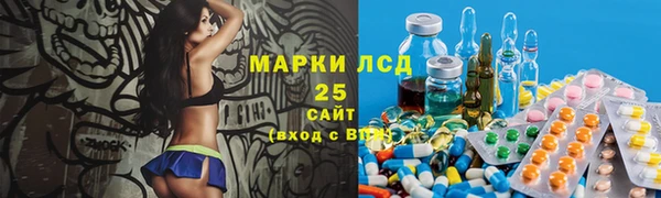шишки Костерёво