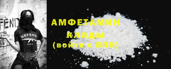шишки Костерёво
