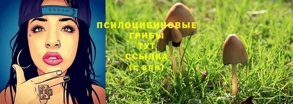 шишки Костерёво