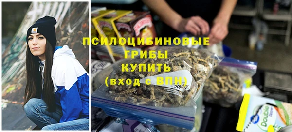 шишки Костерёво