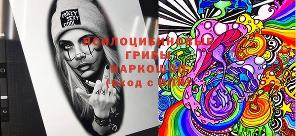 шишки Костерёво