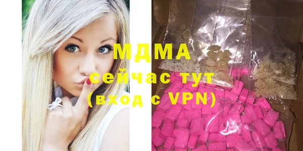 индика Козловка
