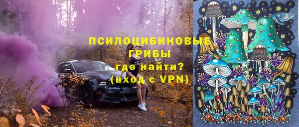 дживик Куйбышев