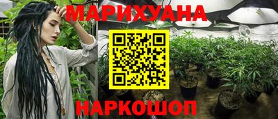 молекула духа Заводоуковск