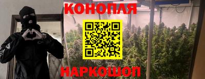 молекула духа Заводоуковск