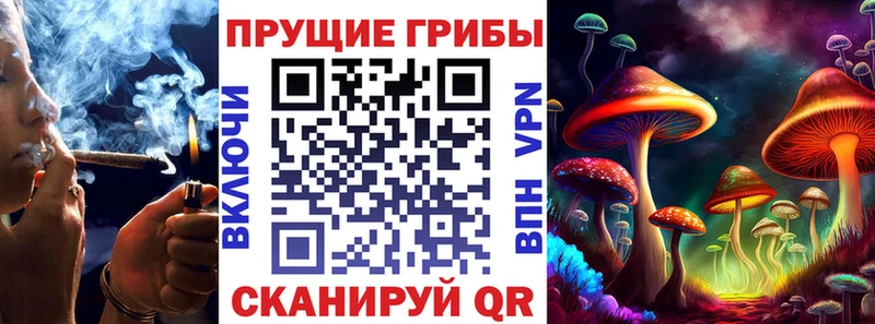 hydra ССЫЛКА  Ленинск-Кузнецкий  Галлюциногенные грибы прущие грибы  наркота 