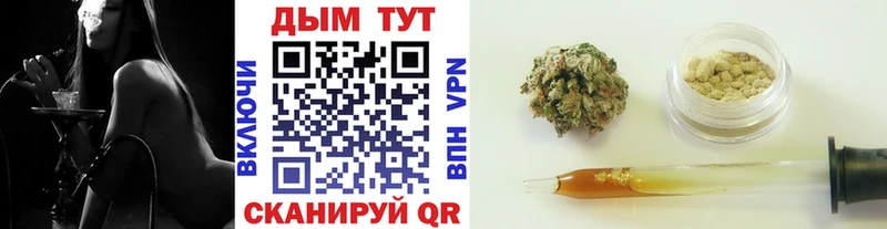 где продают наркотики  Ленинск-Кузнецкий  Шишки марихуана сатива 